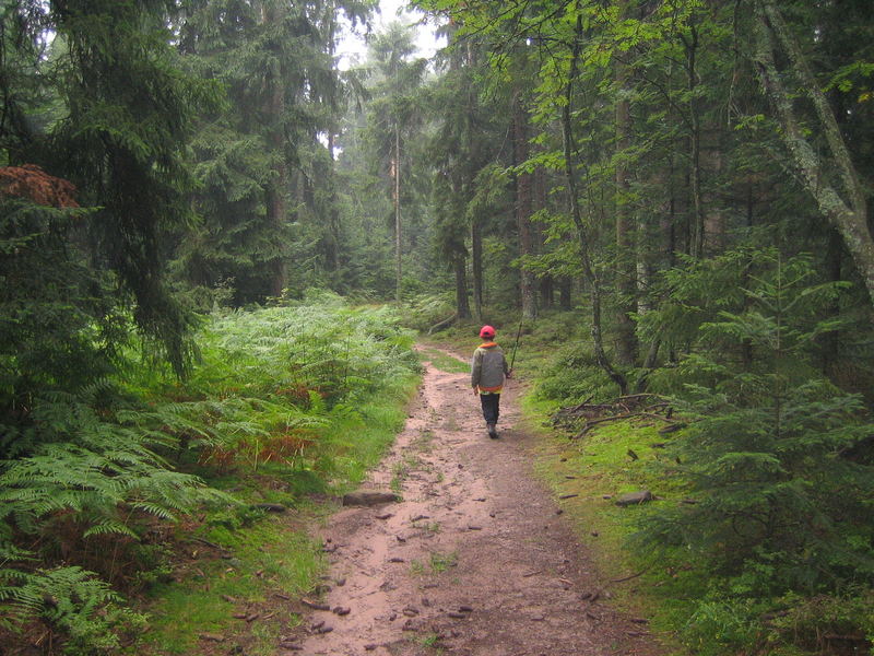 Allein im Schwarzwald