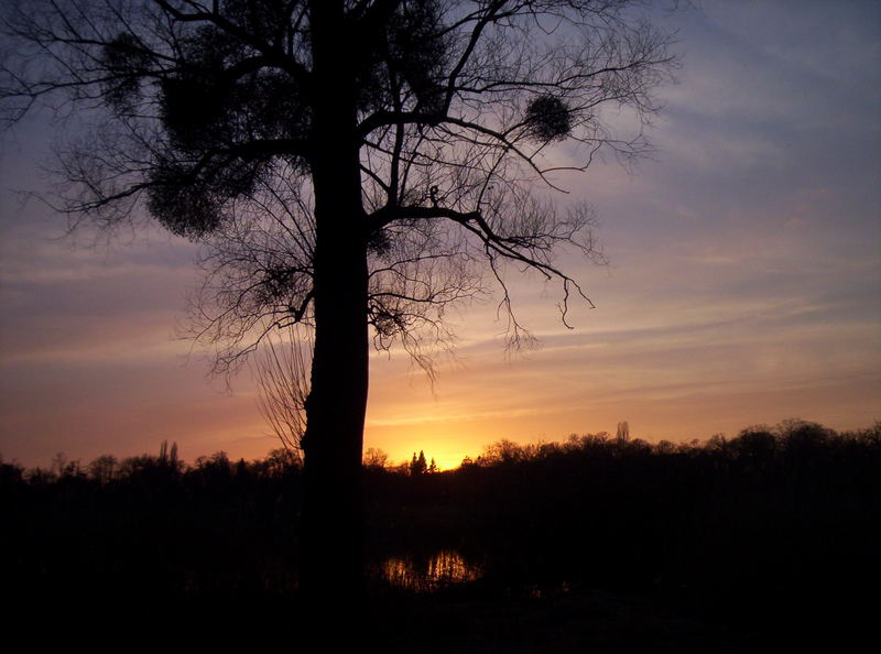 allein im sonnenuntergang