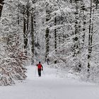 Allein im Wald