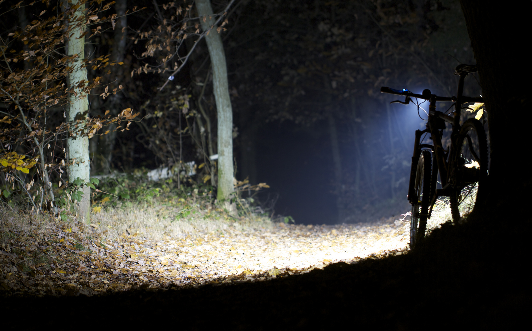 Allein im Wald.... Foto & Bild sport, radsportarten, mtb Bilder auf