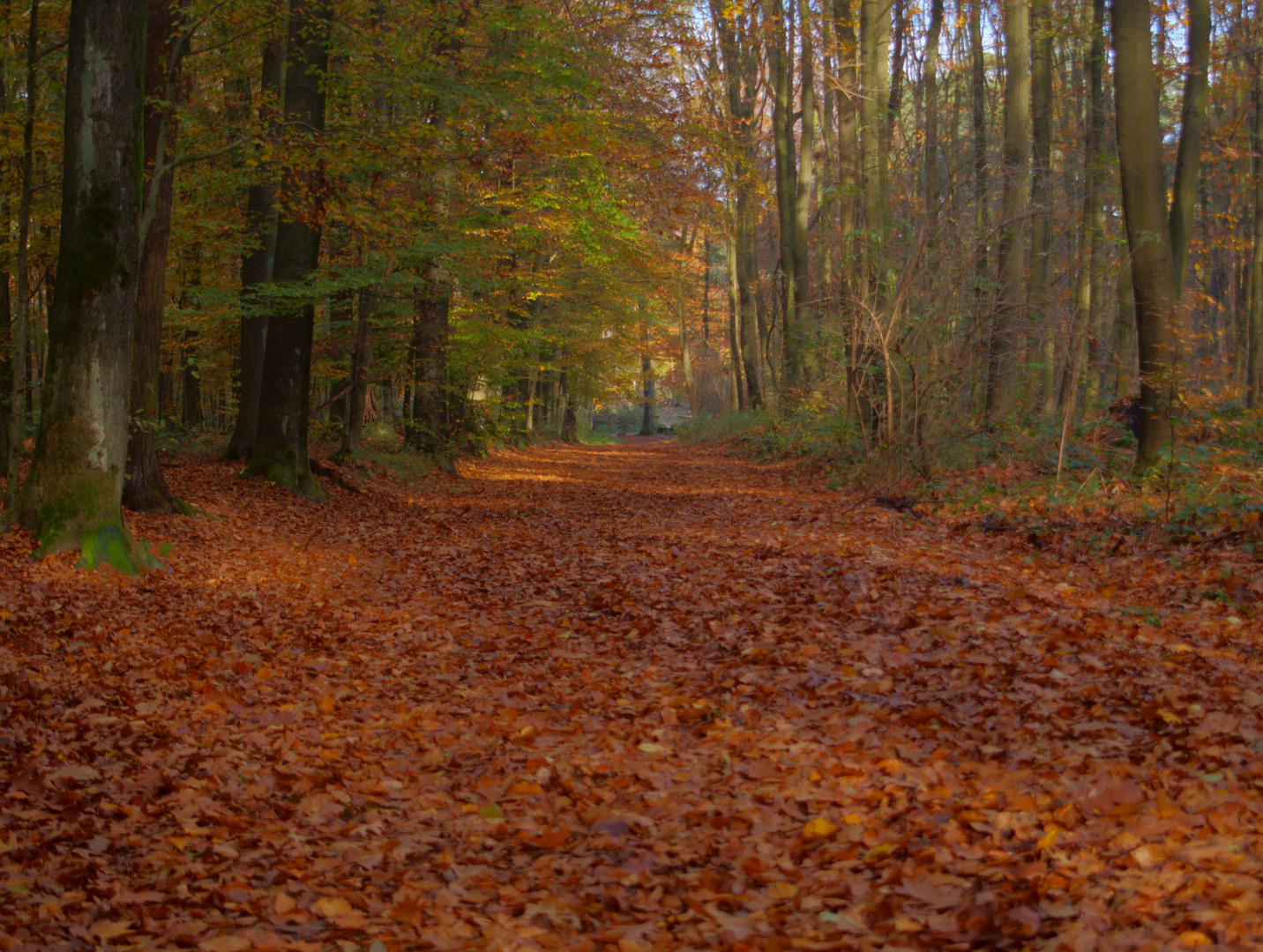 Allein im Wald