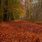 Allein im Wald