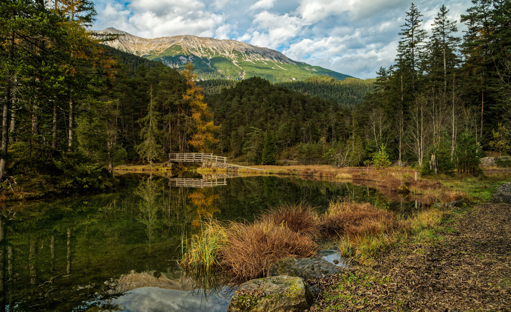 Allein in der Natur