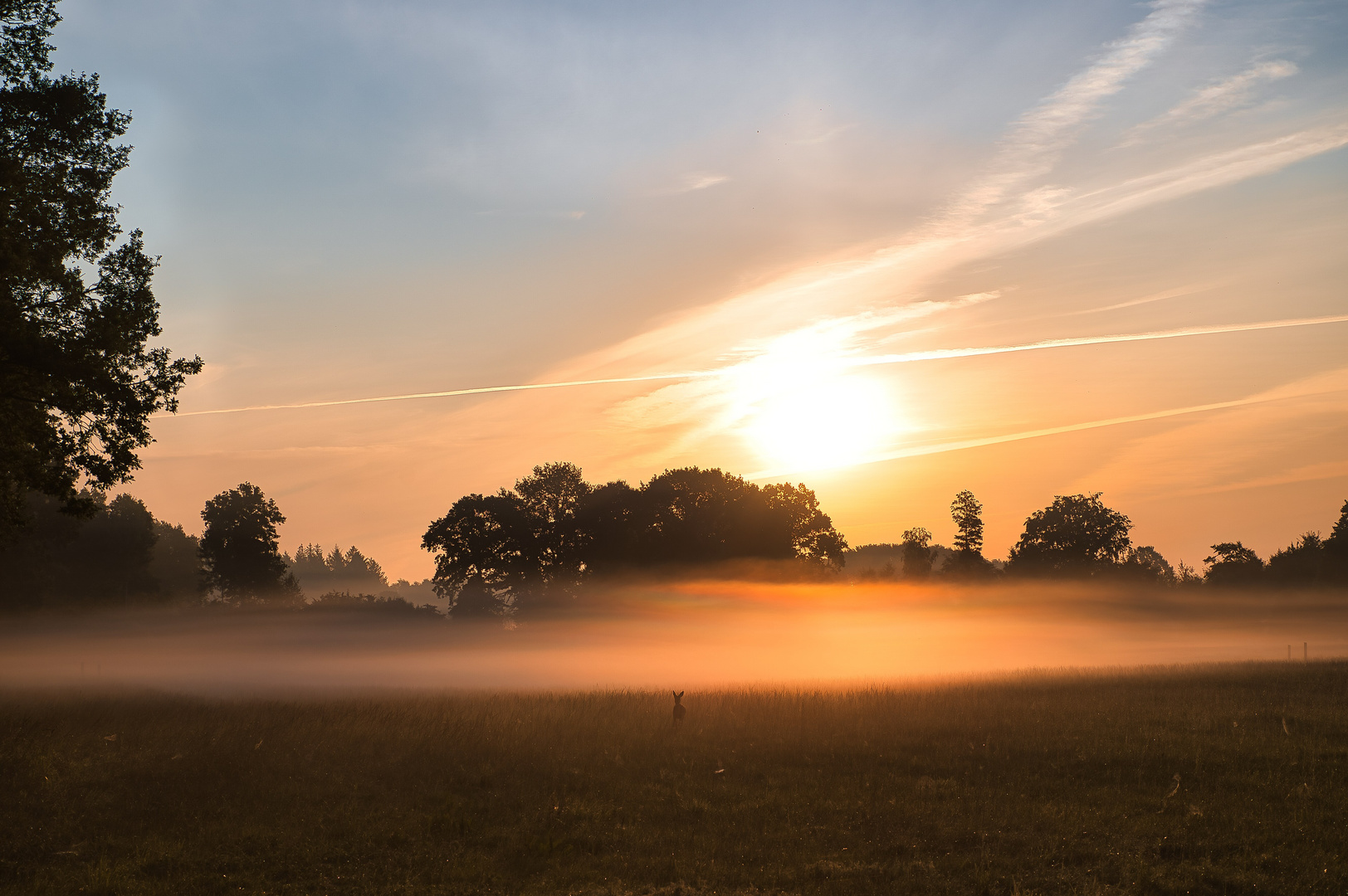 Allein in Nebel