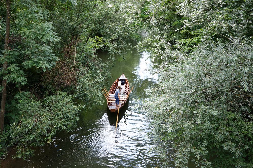 Download Alleine ist mand besser dran For iPhone Free