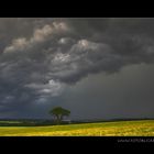 Allein mit dem Gewitter