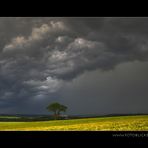 Allein mit dem Gewitter