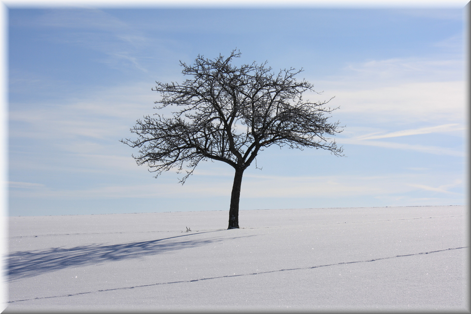 "Allein mit seinem Schatten"