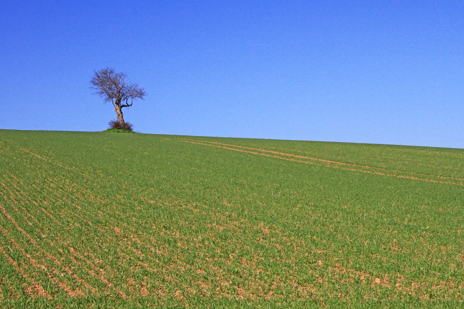 Allein, Sachsen-Anhalt