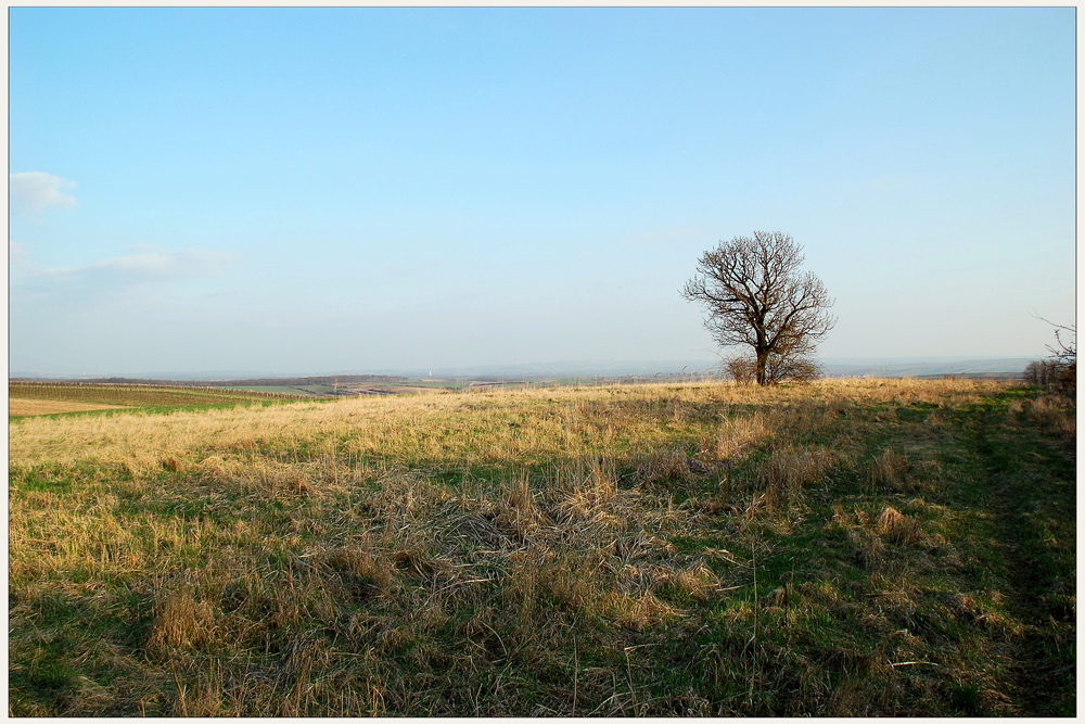 Allein - stehend