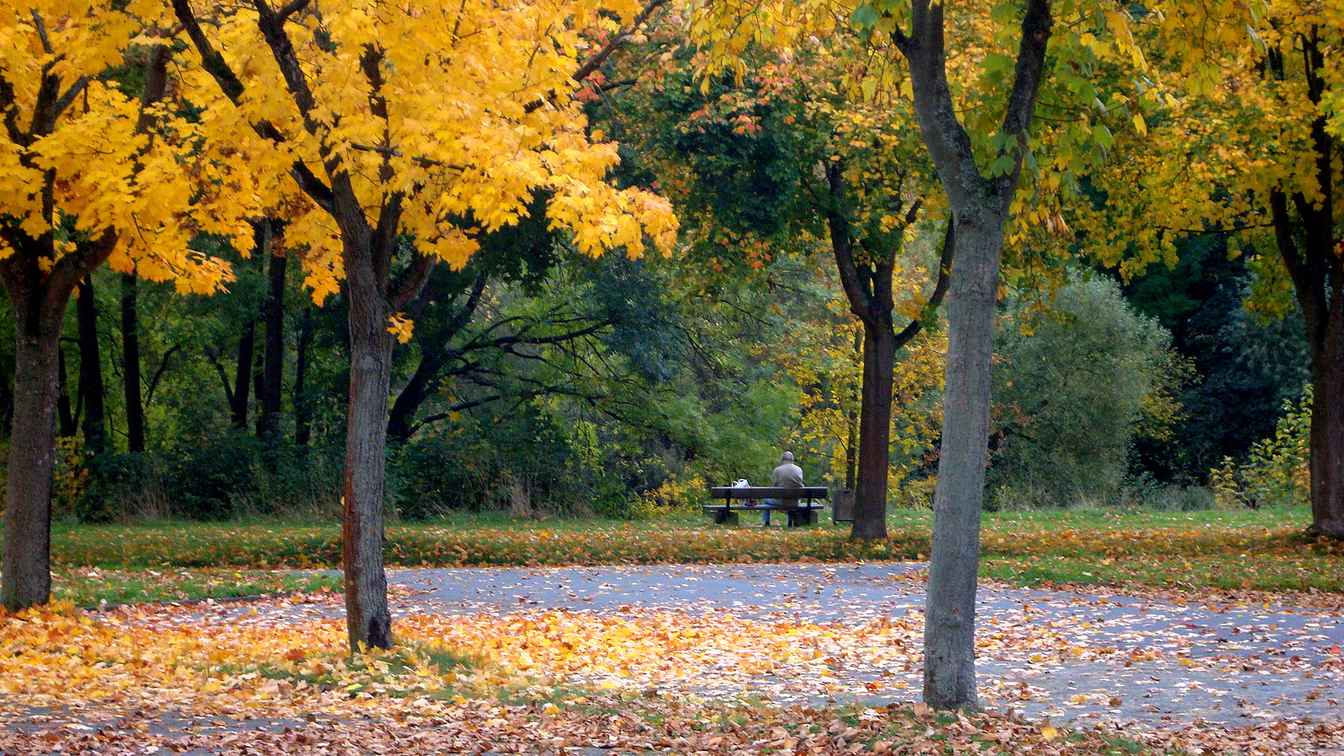 Allein und einsam im Herbst