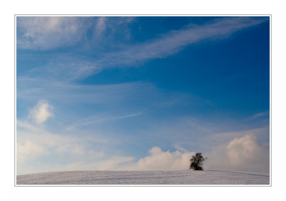 allein unter blauem Himmel