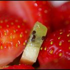 Allein unter Erdbeeren