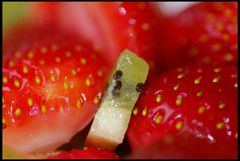 Allein unter Erdbeeren