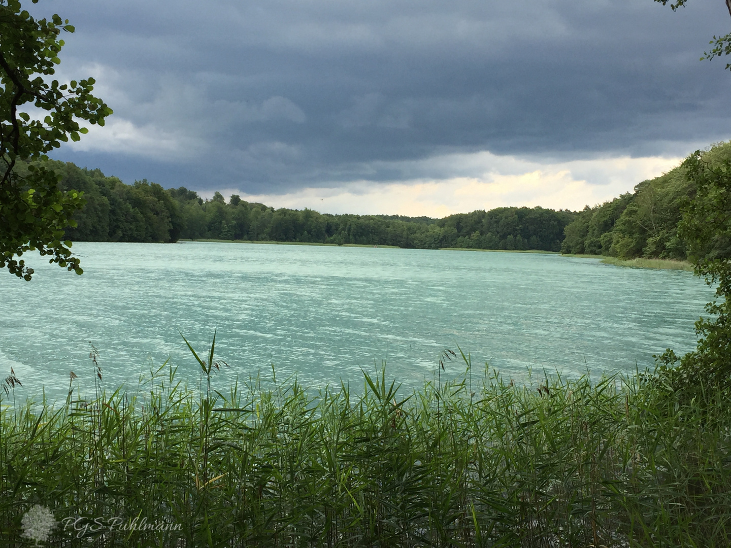 alleine am See 