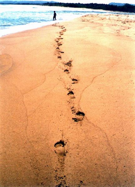 Alleine am Strand