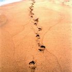 Alleine am Strand