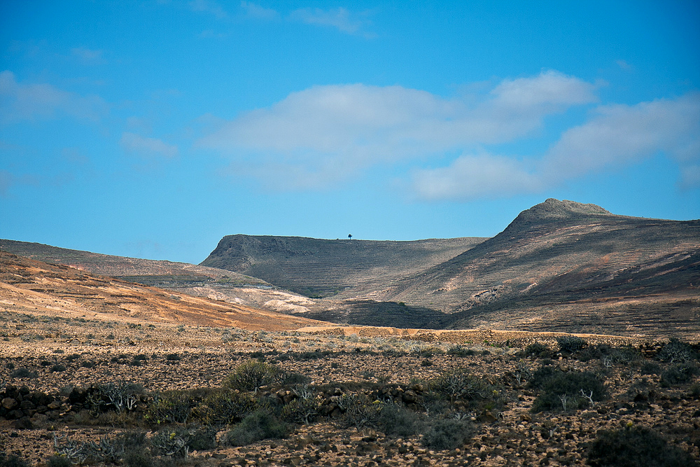 Alleine auf dem Berg