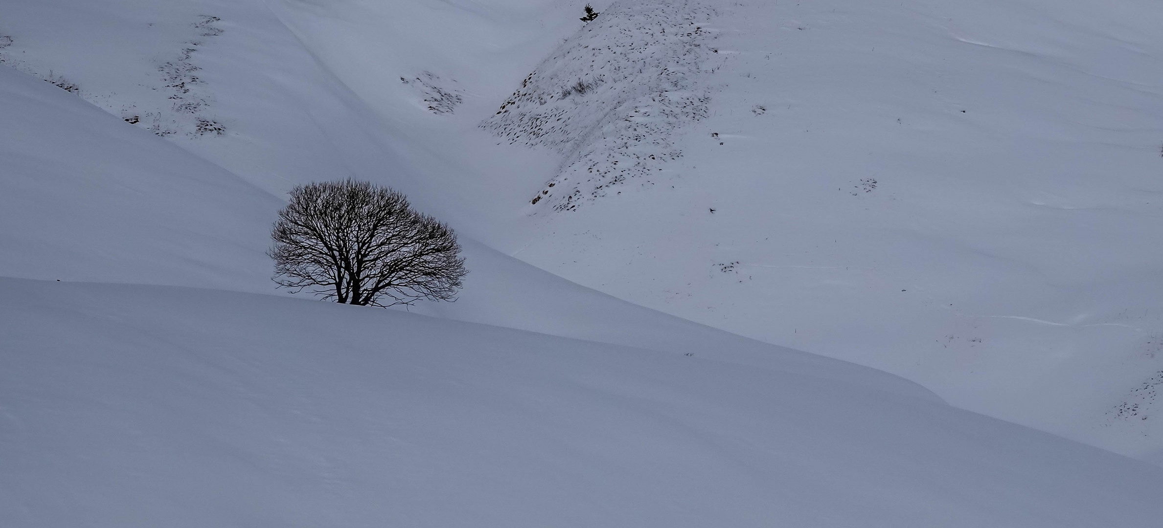 alleine auf weiter Flur