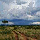 alleine durch den Samburu