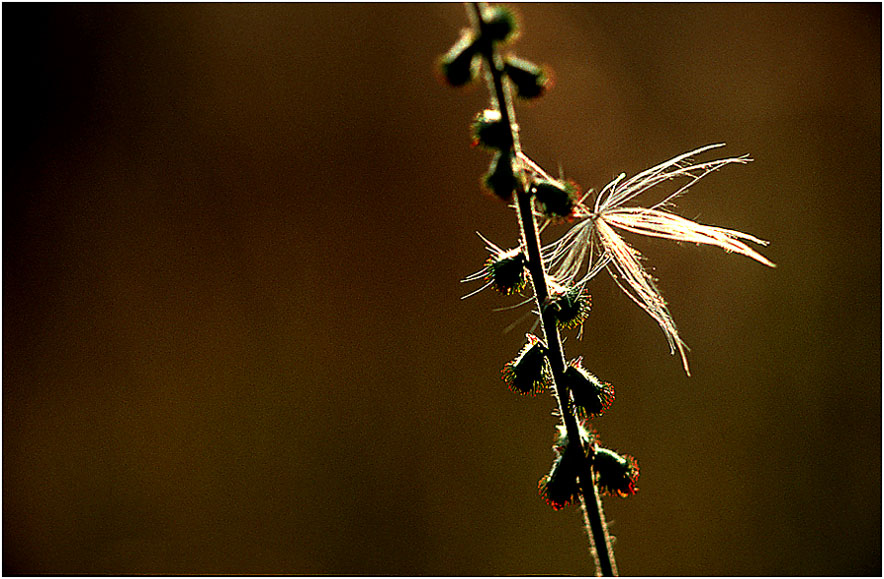 "Alleine gelassen"