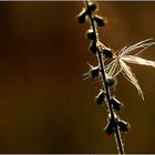 "Alleine gelassen"