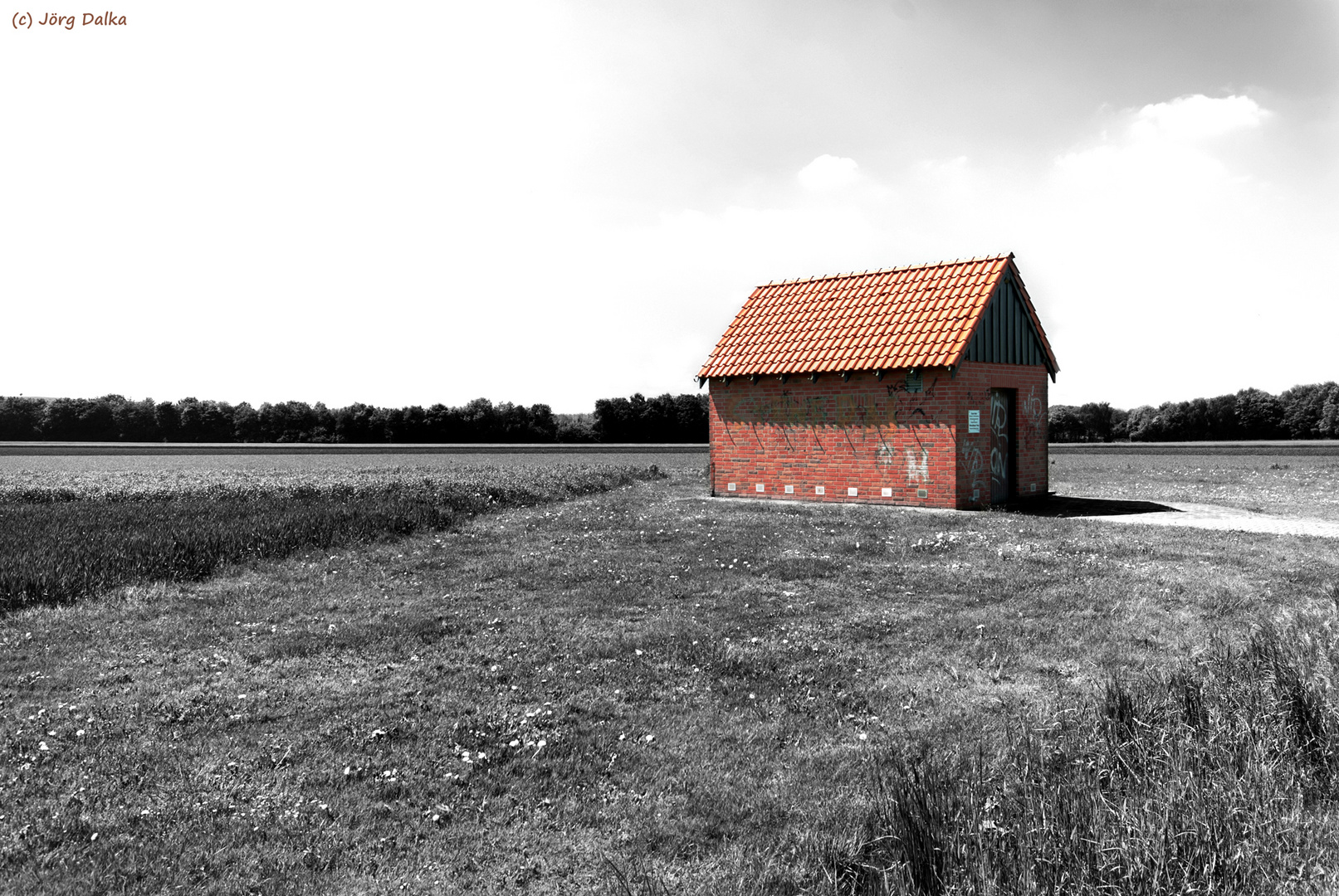 Alleine im Feld