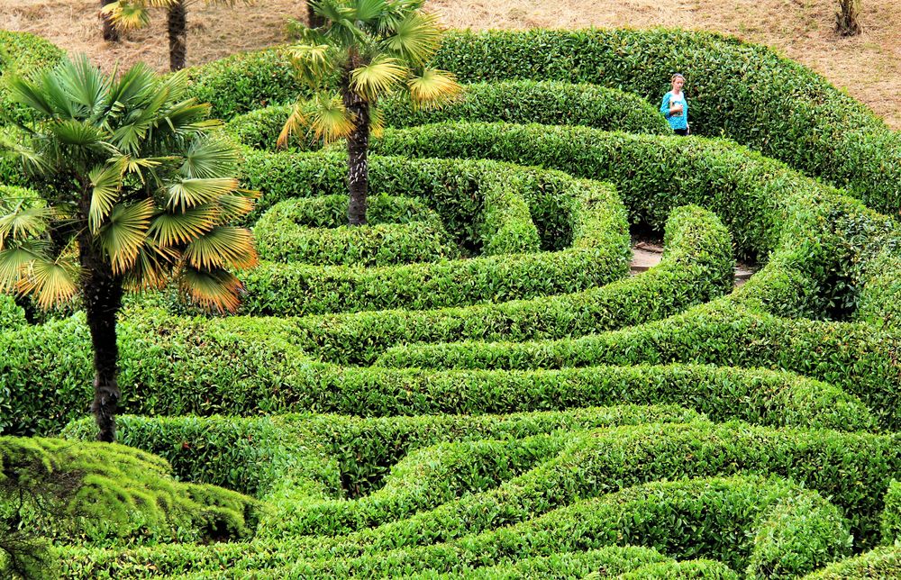 Alleine im Labyrinth