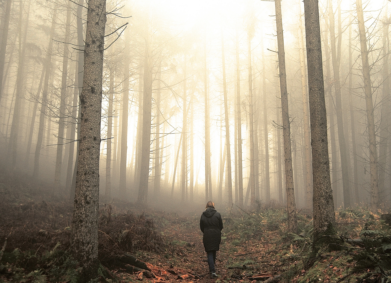 Alleine im Wald