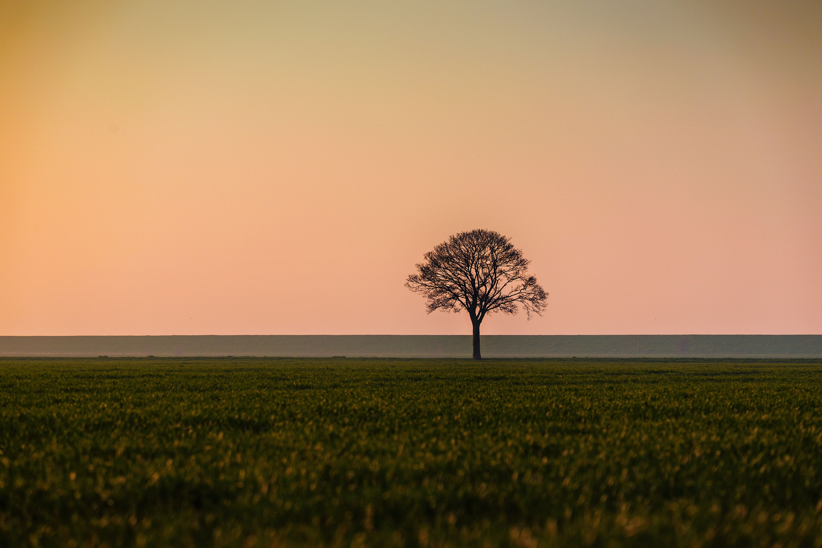 Alleine in der Natur