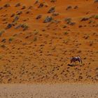alleine in der Wüste