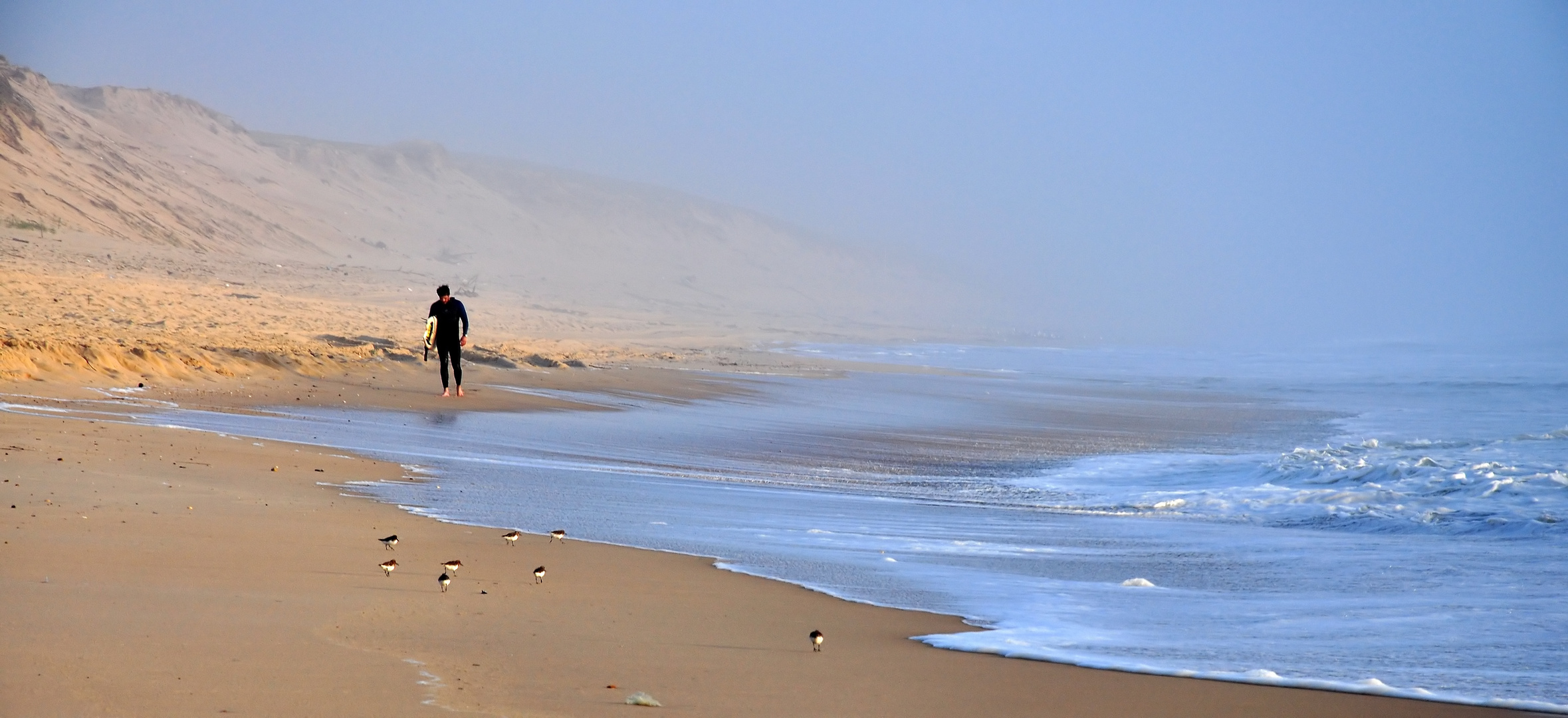 Alleine mit den Strandläufern