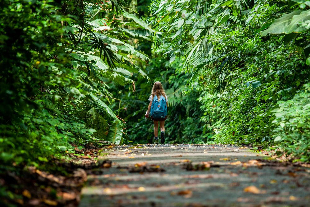 (Alleine) unterwegs in Costa Rica