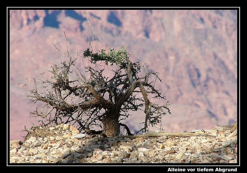 Alleine vor dem Abgrund