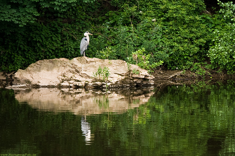 Alleine, zu zweit...