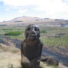 Alleinstehender Moai