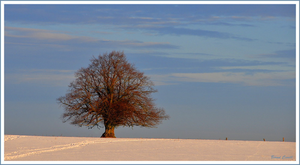 ALLEM WIDERSTEHEND III