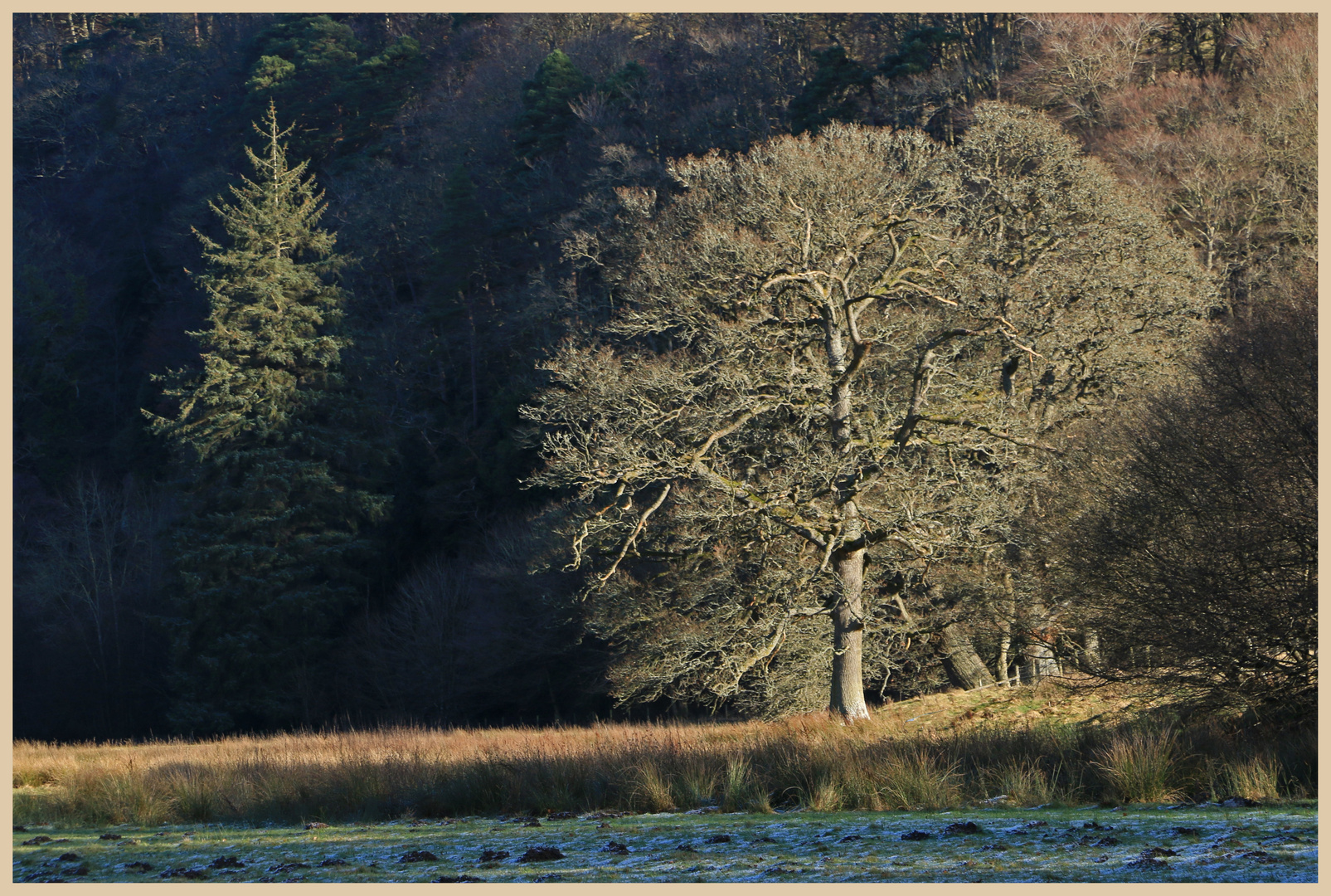 allen banks in winter 13