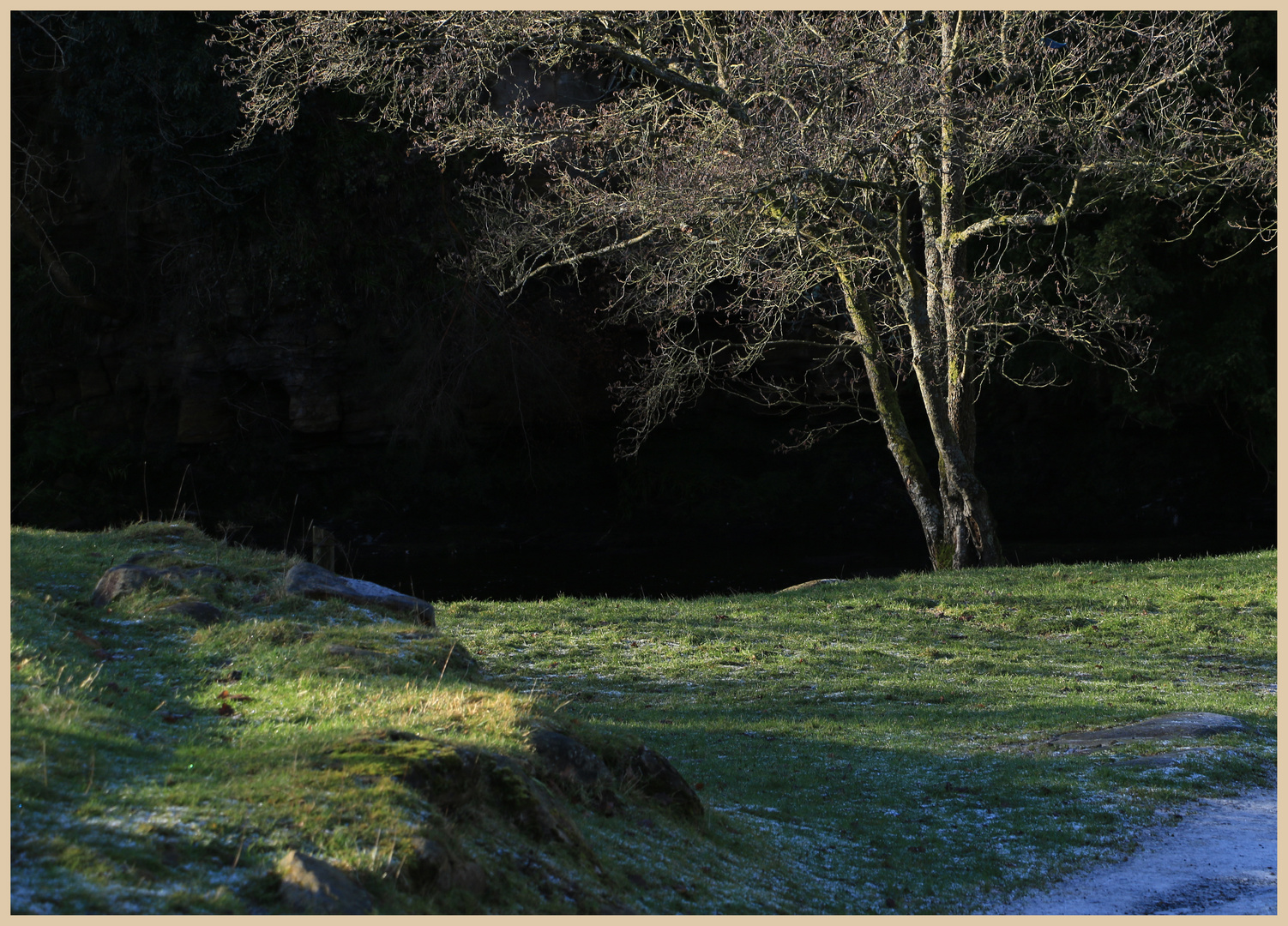 allen banks in winter 7