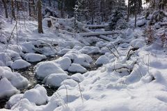 Allen Besuchern ein frohes und gesundes neues Jahr ...