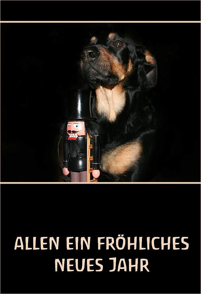 allen ein fröhliches neues Jahr