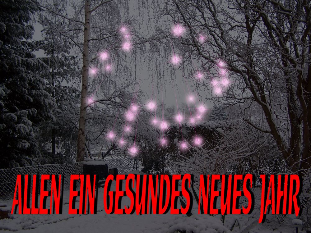 allen ein gesundes neues jahr 2010 Foto & Bild karten und kalender