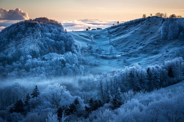Allen ein gutes neues Jahr!
