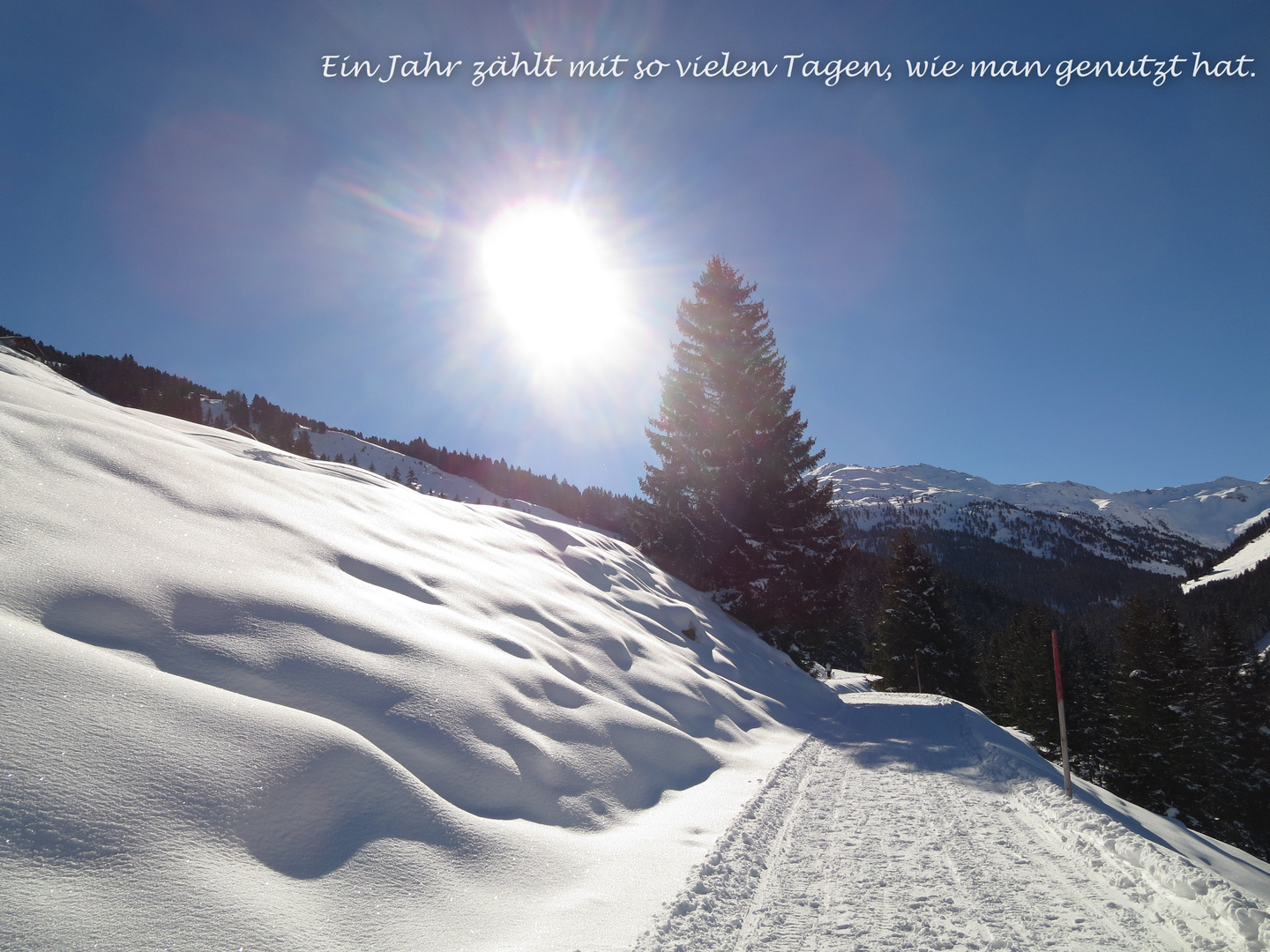 Allen einen guten Rutsch in ein gesundes, ideenreiches neues Jahr