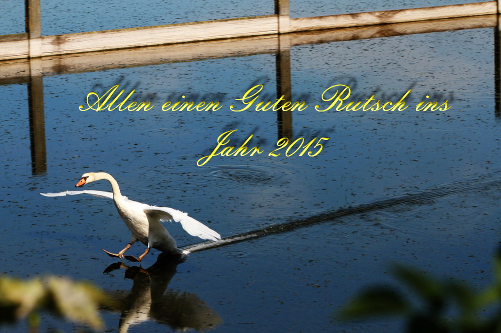 Allen einen guten Rutsch ins Jahr 2015