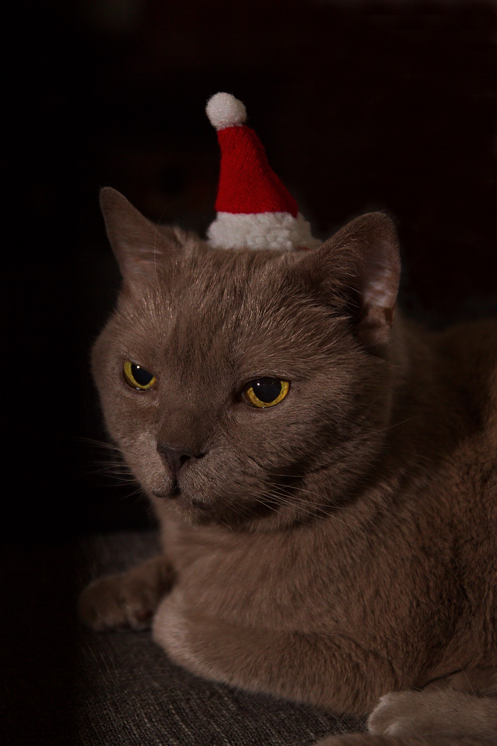 Allen einen schönen 2. Weihnachtstag.