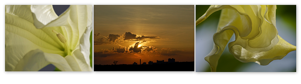 allen einen sonnigen tag