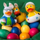 Allen Enten und Menschen ein frohes Osterfest