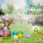 Allen FC Freunden Frohe Ostern !