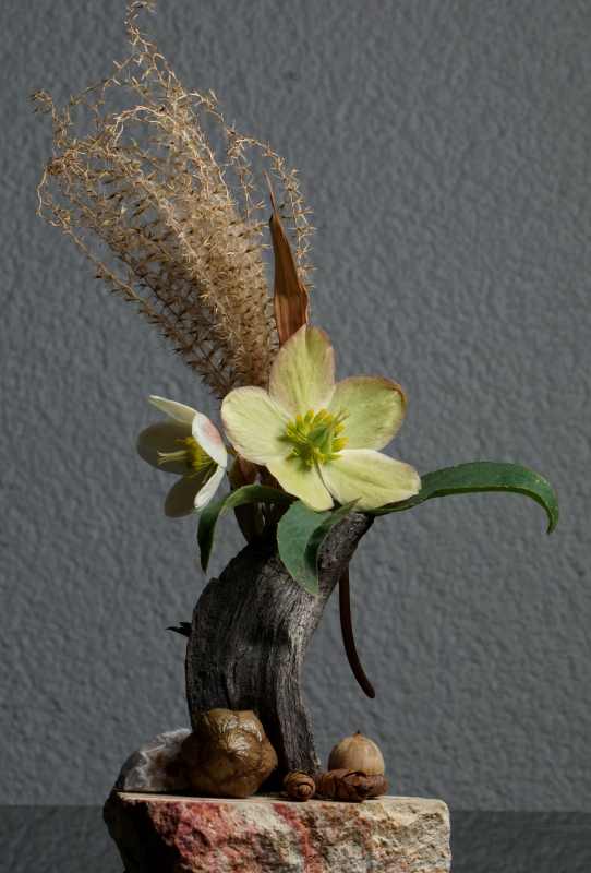  Allen Fotofreunden ein wunderschönes Wochenende ,last Blumen sprechen